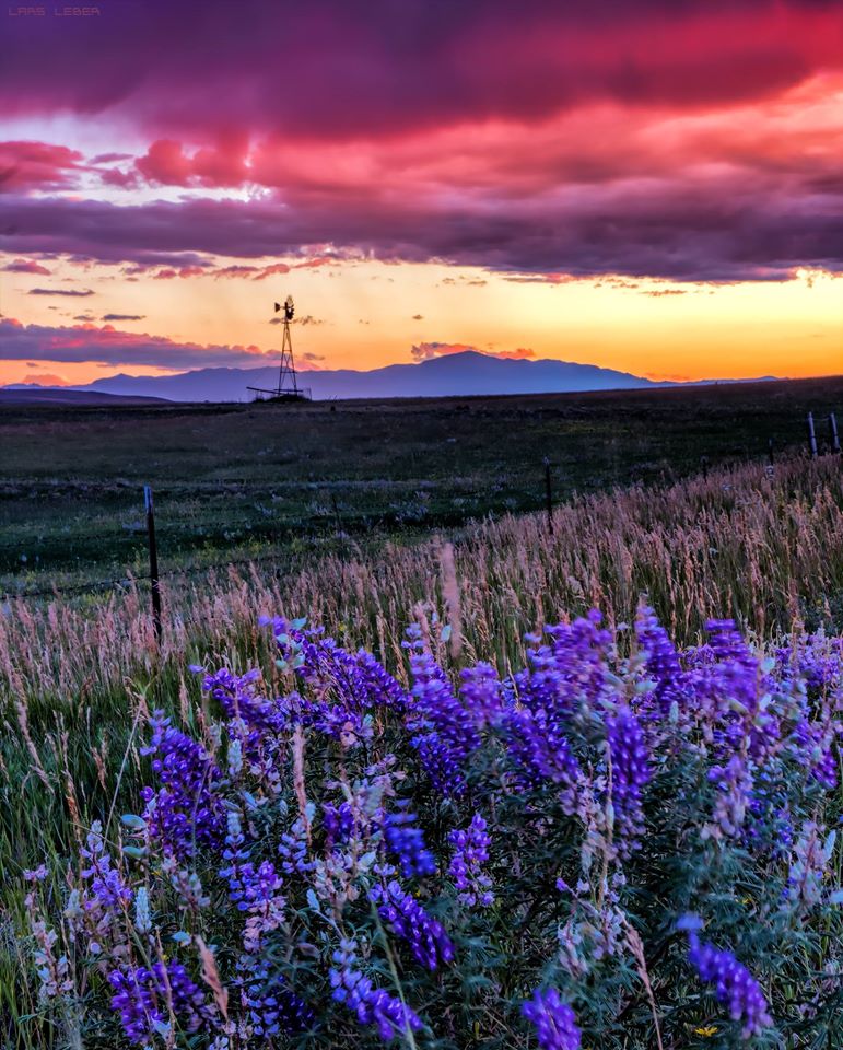 Lars Leber Photography